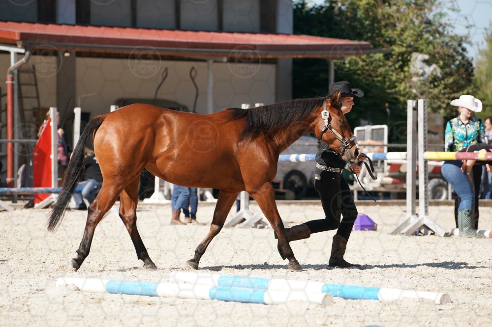 s_A_907545.JPG